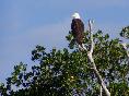 Everglades National Park, FL