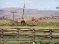 Grant-Kohrs Ranch National Historic Site - Deer Lodge, MT