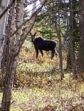 Isle Royale National Park, MI