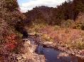 Obed Wild & Scenic River - Wartburg, TN