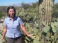 Saguaro National Park - Tucson, AZ