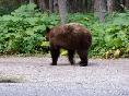 Glacier National Park