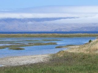 Marshlands