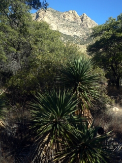 Montezuma Canyon