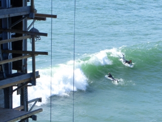 Crazy Surfers Under the Bridge