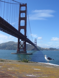 On Top of Fort Point