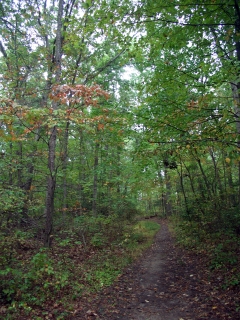 A Ghostly Trail