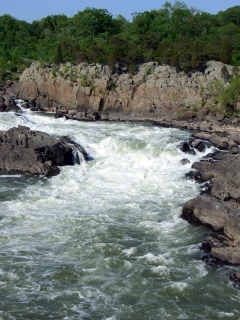 The Rushing Potomac