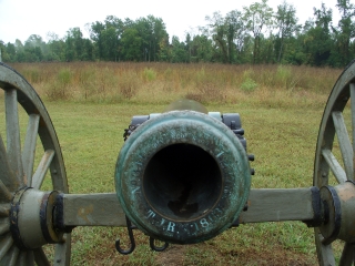 Barrel View