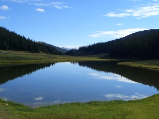 Subalpine Meadow