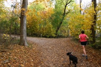 An Afternoon Island Jog with a Friend