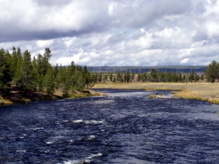 Turbulent Waters