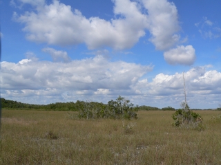 Big Sky Florida Style