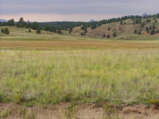 The Florissant Fossil Beds