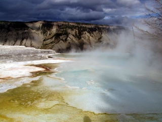 Hot Springs at Yellowstone NP 